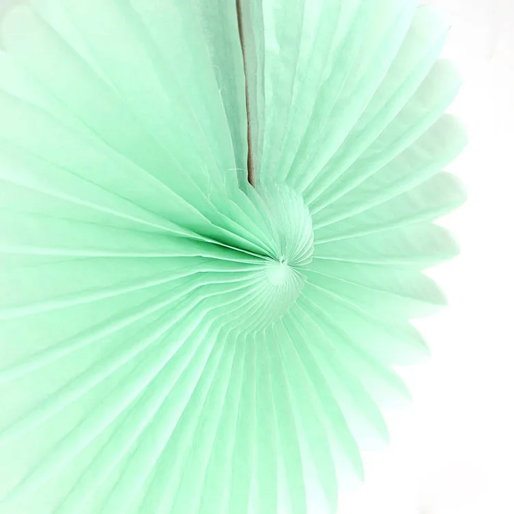 tissue paper fan (41).jpg