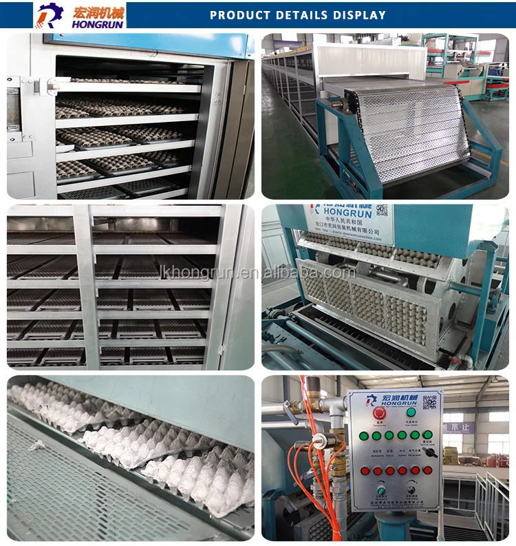 Large Capacity Paper Egg Tray Making Machine Egg Tray Production Line