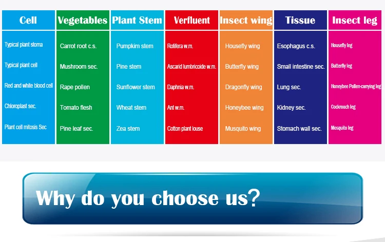 16 prepared slides.jpg