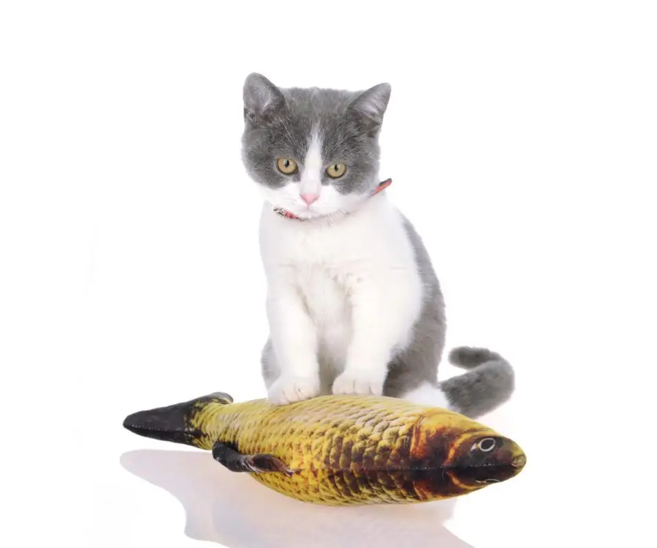 Simulated Fish Chew Interactive Dog Plush Pet Toy - Buy Kids Dog Toys ...