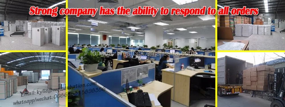 Newest Design 48 Eggs Incubator For Family Used For Sale ...