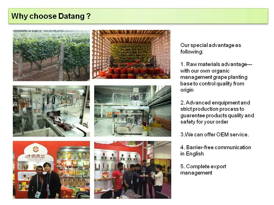 DT-SD-011seeded raisin/dried fruit company/chinese dried food