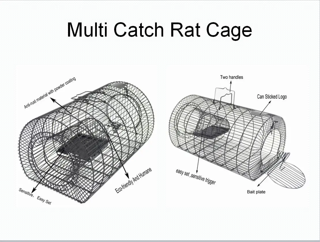 Iron Wire Multi Catch Rat Cage Trap New Design Metal Mouse Trap Buy
