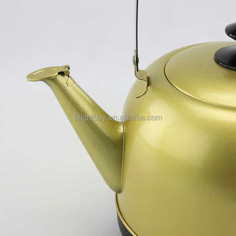 Stainless steel whistling  water kettlecordless kettle (14)