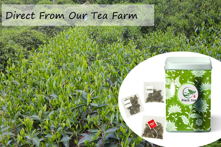 Direct from Tea Plantation.jpg