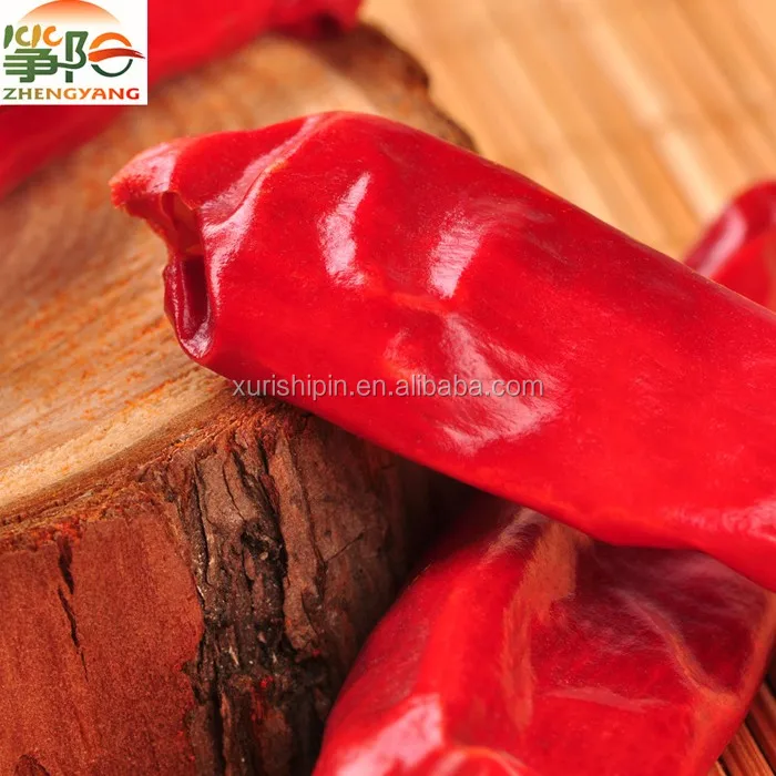 tianying chilli (2).jpg