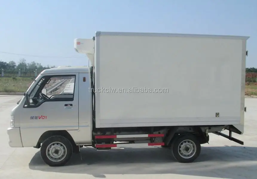 Foton Refrigerator Truck Mini Freezer Truck With Gasoline Engine Power