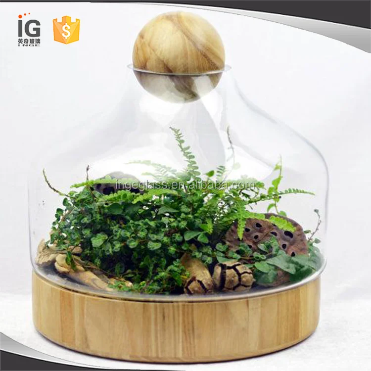Handmade Glass Terrarium With Wood Base And Ball Lid Buy Handmade