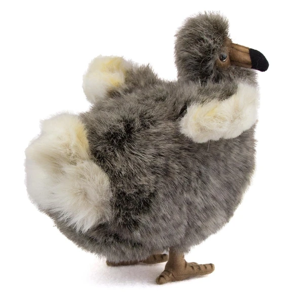 dodo peluche