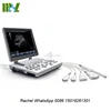 MSLPU33 Medical equipment handheld 3D/4D ultrasound scanner / digital pregnancy test machine