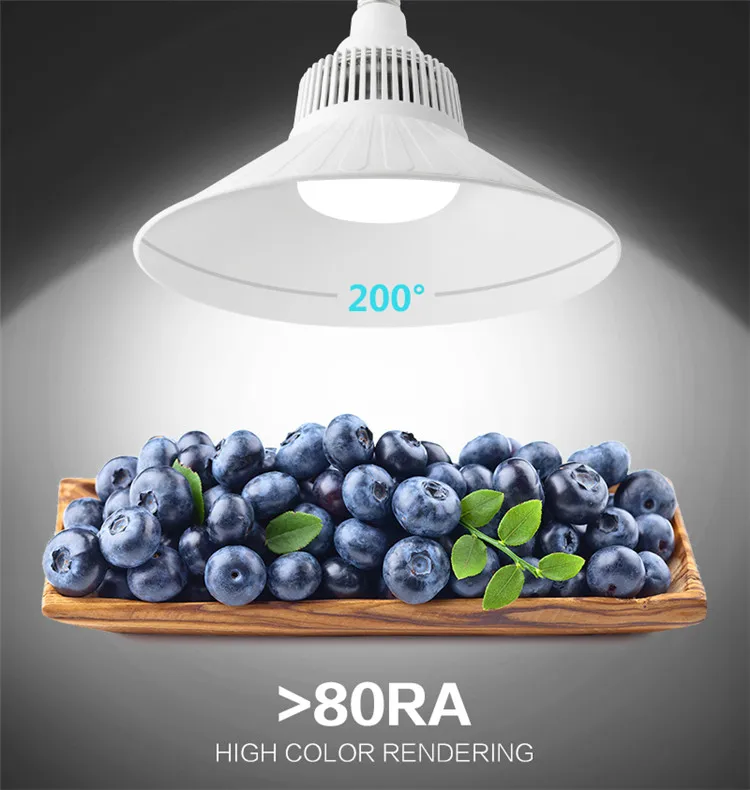 Bulb-C-Detail-750-04.jpg