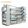 Tianrui Modern Automatic Day Old Layer Chicks Cages System