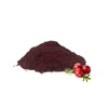 HERBLINK supply pass ID and PAH test cranberry extract 25% proanthocyanidins
