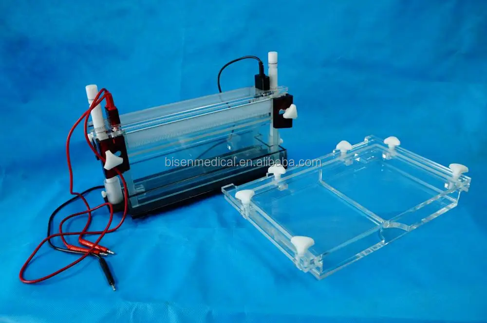 Apparatus Electrophoresis Cell With Agarose Gel Medium 10 15 Comb Wells Horizontal Cel