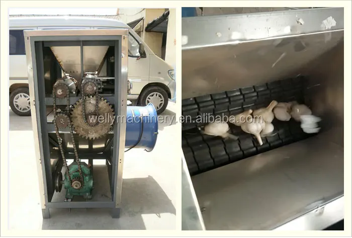 garlic separator 33.jpg