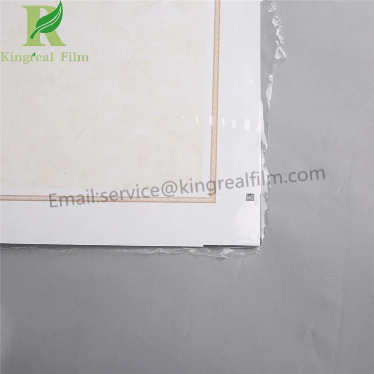 protective film18112704