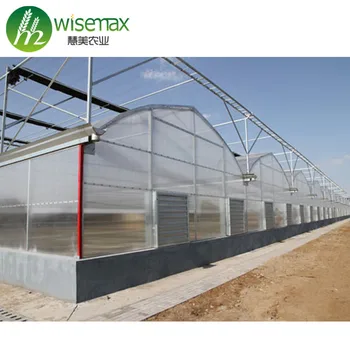 low cost agricultural greenhouses aquaponics growing