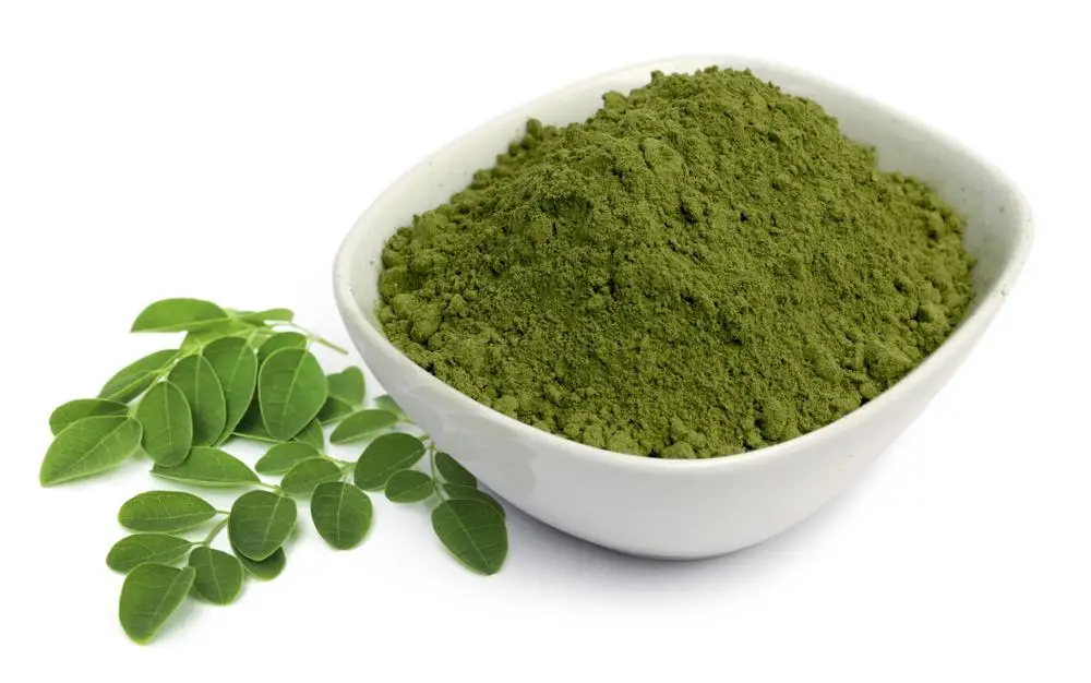 pure natural plant moringa oleifera leaf extract powder for