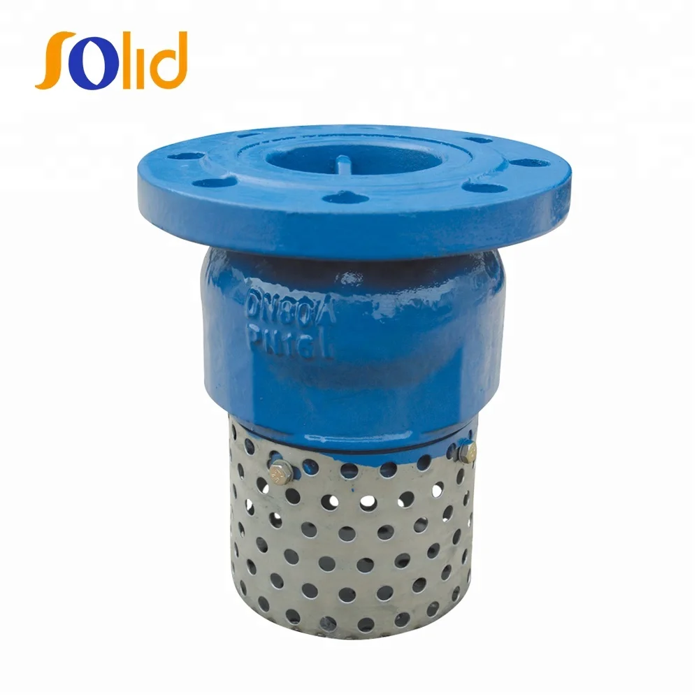 DN300, PN16 Ductile iron foot valve with stainless steel strainer