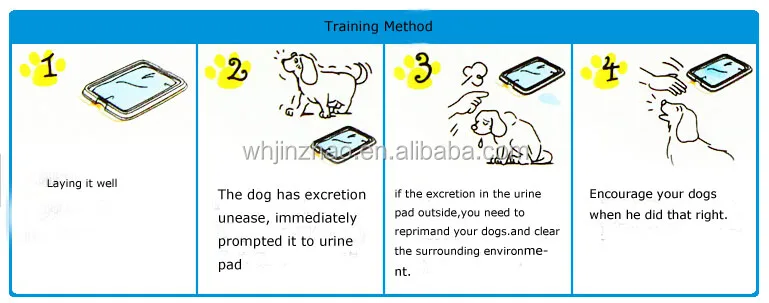 how to train dog.jpg