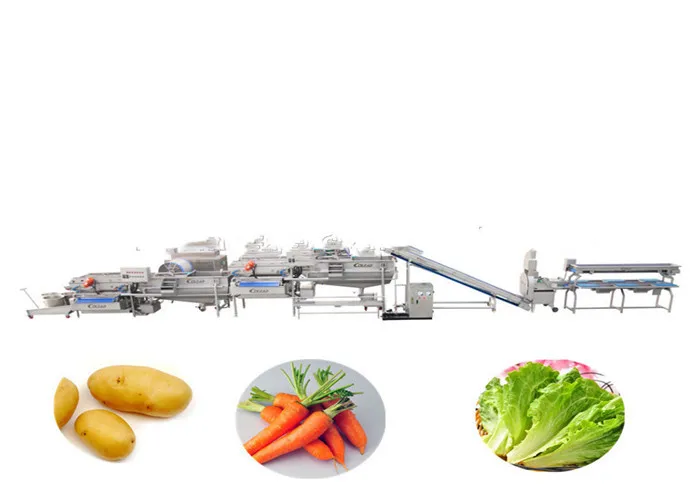 Dehydrated Vegetable Processing Dried Fruit Production Line Buy High