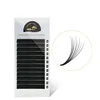 Hollyren Auto Fan Easy Volume Eyelash Wholesale 3D Eyelash Extension Private Label Faux Mink Lashes Private Label With Package