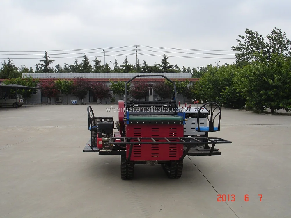 backside view.JPG