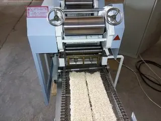 Instant Noodles Manufacturing Plant