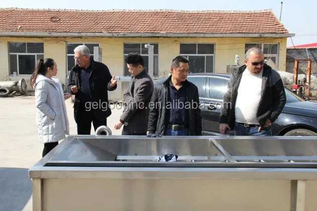 Industrial Ozone Fruit and Vegetable Washer and Dryer Prices, Commercial Vegetable Washer