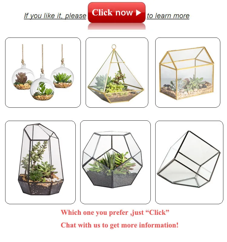 Wholesale Rectangle Shape Glass Geometric Terrarium With Wooden Base Buy Glass Terrarium,Glass