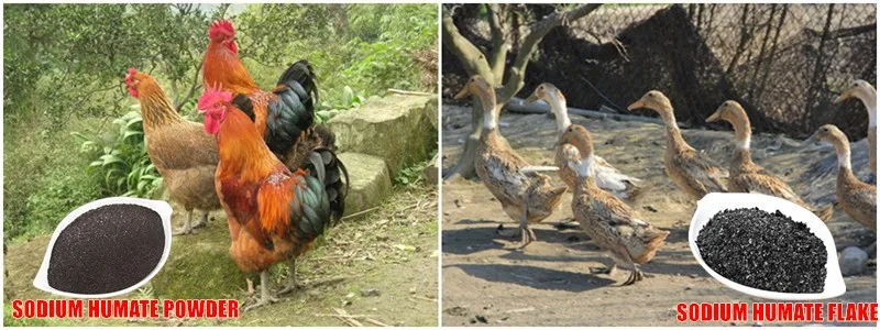 Fish Manure Fertilizer.jpg