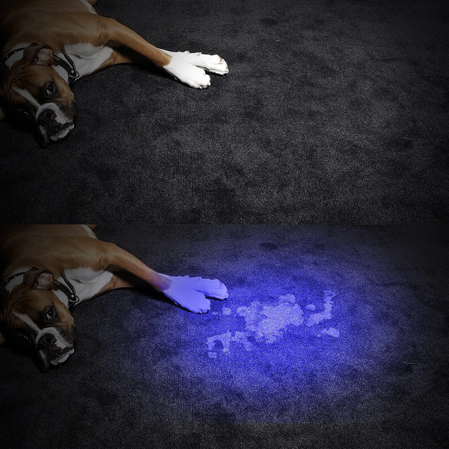 Uv Handheld Flashlight 12 Led 395nm Ultraviolet Blacklight Pet Dog Cat Stain Urine Detector