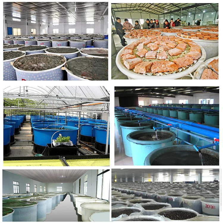 Industrial Aquaculture Big Capacity Tub Round Plastic Container With