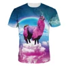 OEM high quality custom no label polyester adult men and women plain short sleeves t shirt