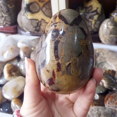 الطبيعية Septarian الجيود البيض Septarian التنين البيضاوي للبيع Buy Septarian البيضاوي البيض شكل بيضاوي الحجر للزينة البيضاوي البيض كرسي Product On Alibaba Com