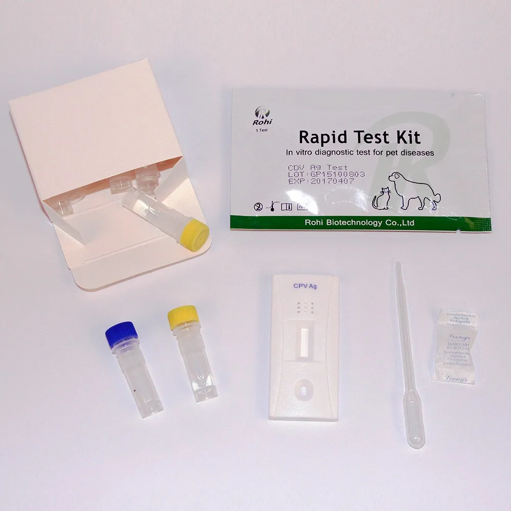 Puppy Leptospira Rapid Test Kit/ Leptospirosis Testing For Animal