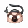 Stainless Steel Quick Water Boiling Tea Whistling Kettle, 3.1-Quart, with Easy Handling and Thumb-Press Pour Spout