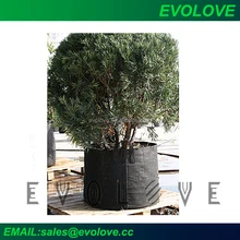 Large Tree Pots Whole Pot Suppliers Alibaba