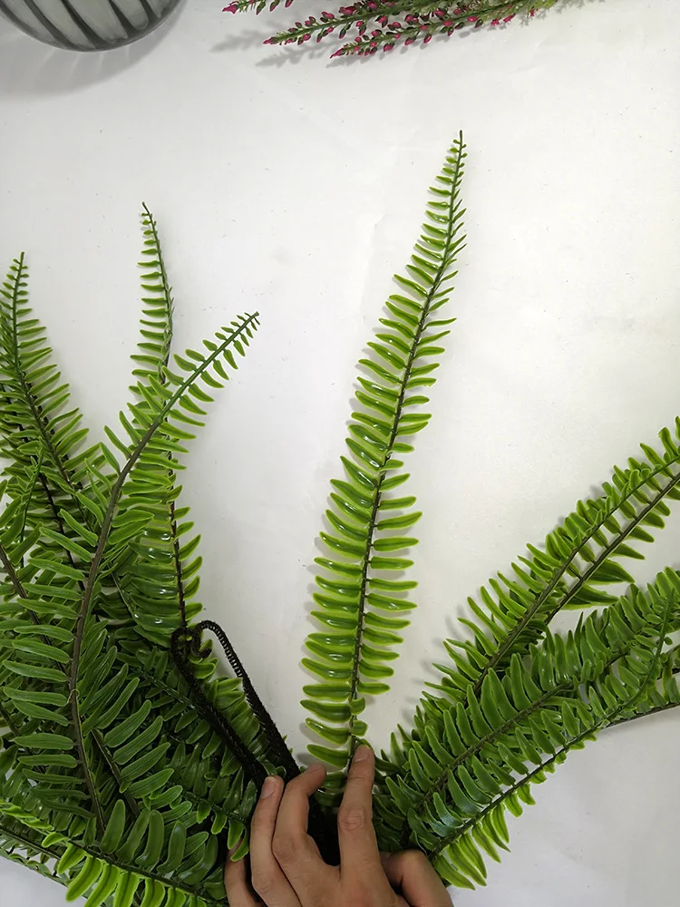 Persian Grass (2).jpg