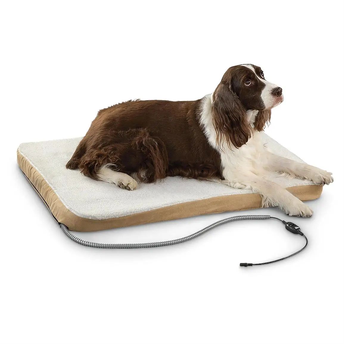 Heated Pet Pad Warmer Heating Pet Bed Buy Heated Pet Pad Large