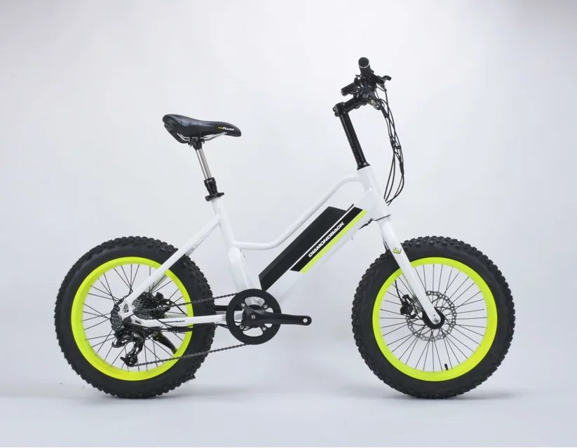 fat electric bicycle