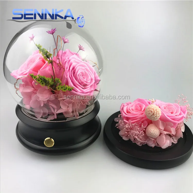 roses preserved in glass