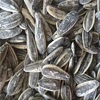 Roasted Salted Sunflower seeds 5009 form China on sale