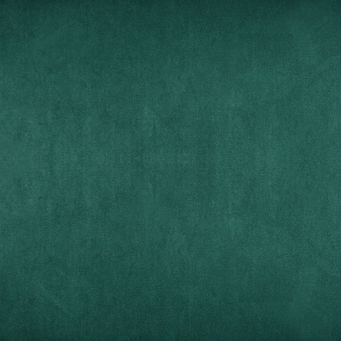3203.jpg