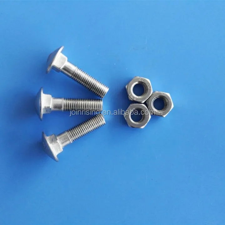 ssCarriage bolts2-0502