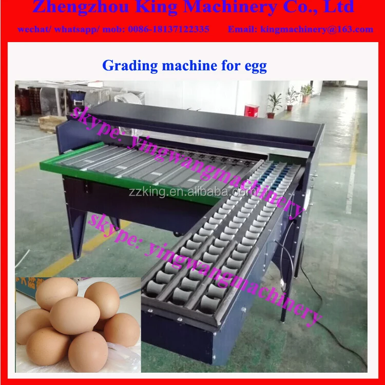 egg grading .jpg