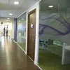 Wholesale acrylic translucent interior wall panels