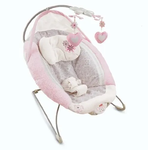 fisher price snugabear bouncer