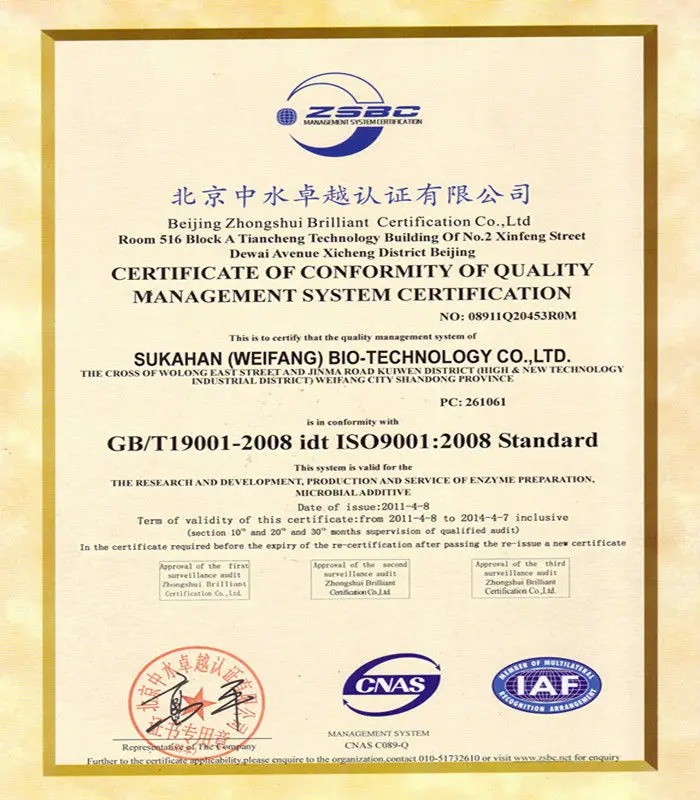 ISO9001English_.jpg