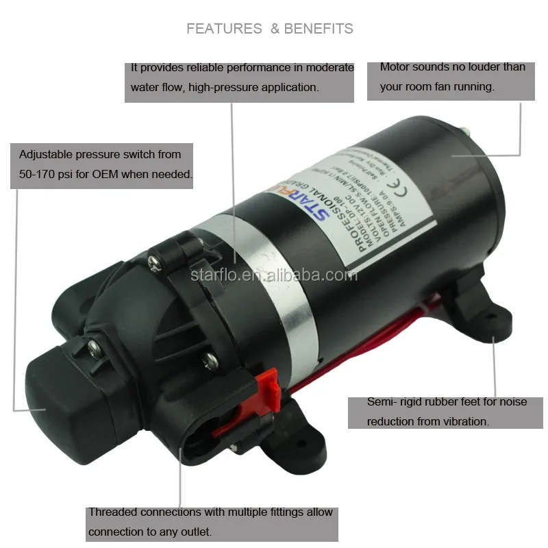 DP-100 12v dc pump